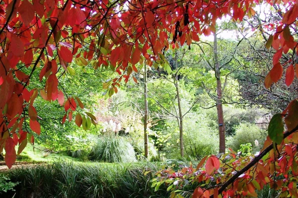 Eastwoodhill Arboretum