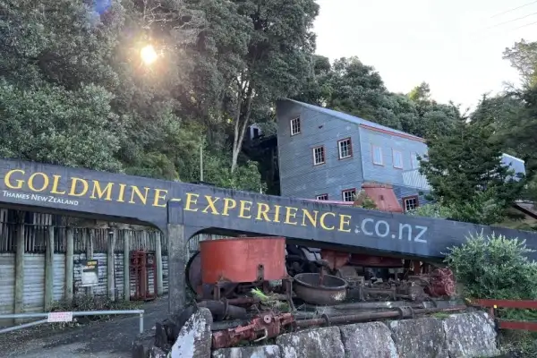 Thames Goldmine  Experience