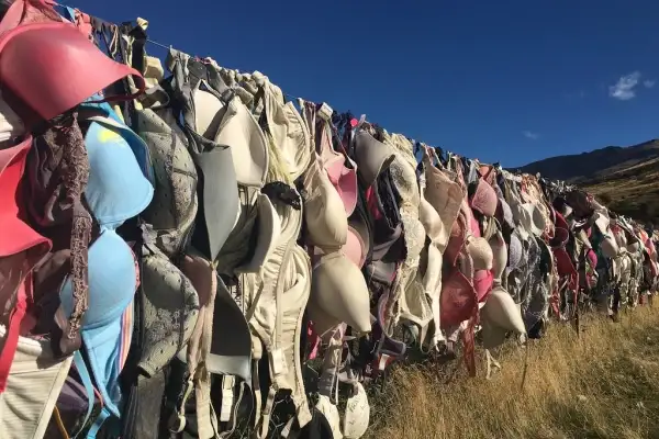 The Cardona  Bra Fence