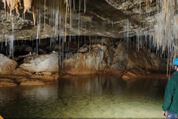 Waitomo Caves 