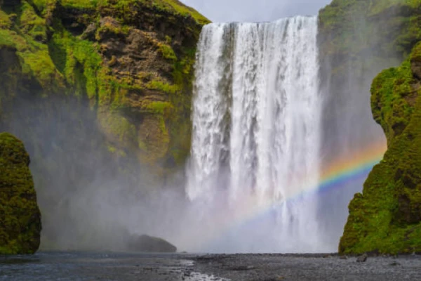 Rainbow Falls  - Kerikeri