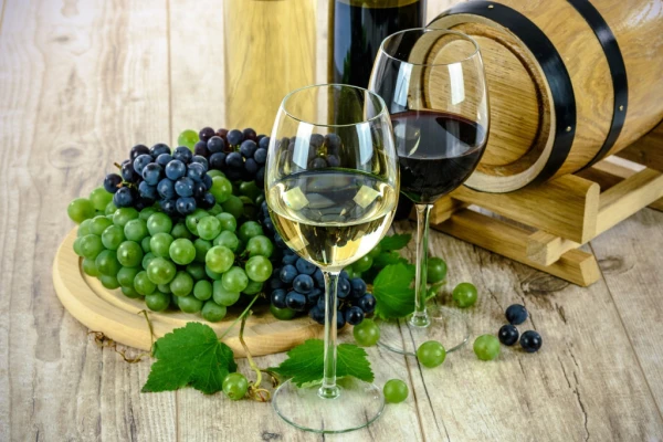 Thinking wine,   Think North 