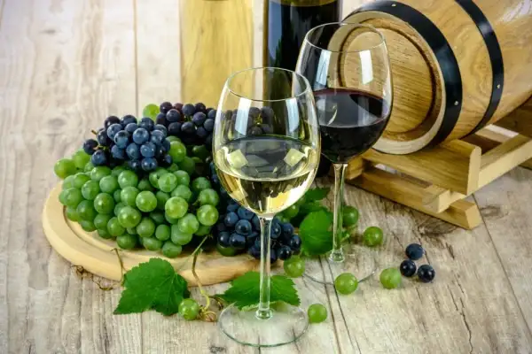 Thinking wine,   Think North 