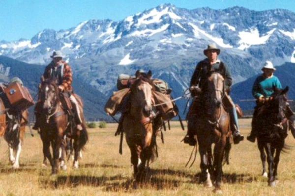 Horse Trekking   - Fairlie