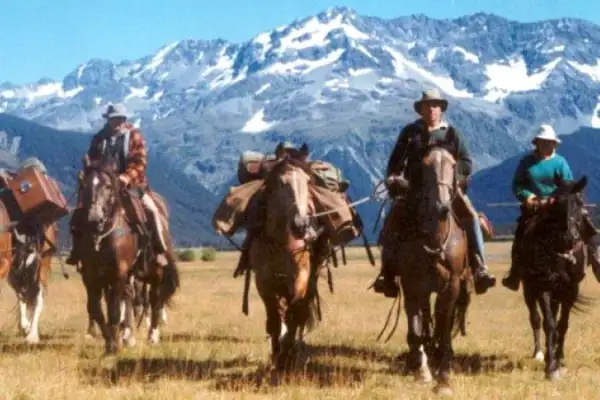 Horse Trekking   - Fairlie