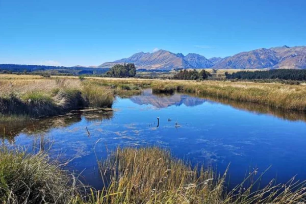 Rakatu Wetlands - Manapouri 