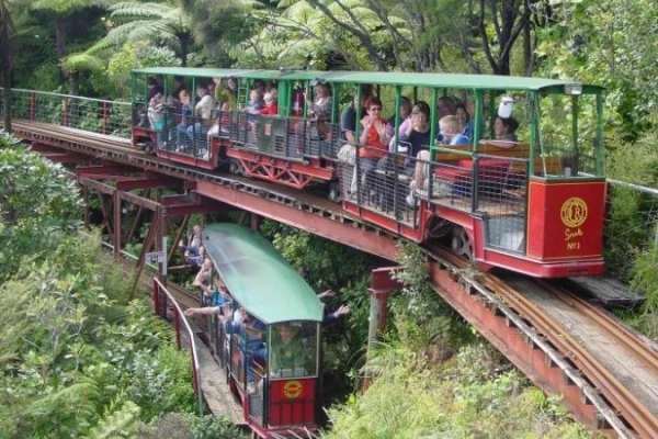 Driving Creek Railway 