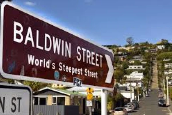 Baldwin Street - Dunedin 
