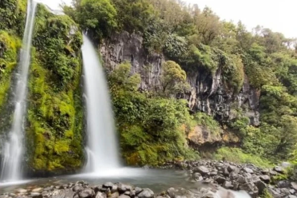 Dawson Falls  - Mahoe