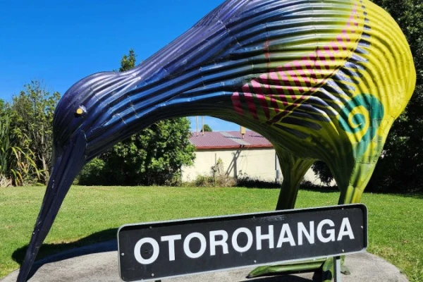 Otorohanga Giant Kiwi Kiwi