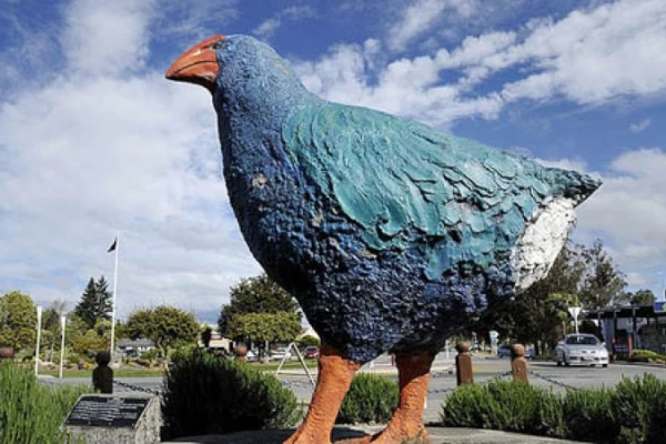 Te Anau Giant Takahe 