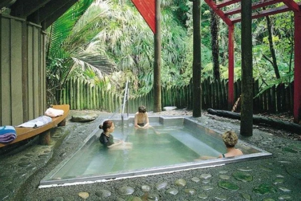 Morere Hot Springs - Gisborne