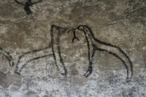 Māori Rock Art - Waikari 