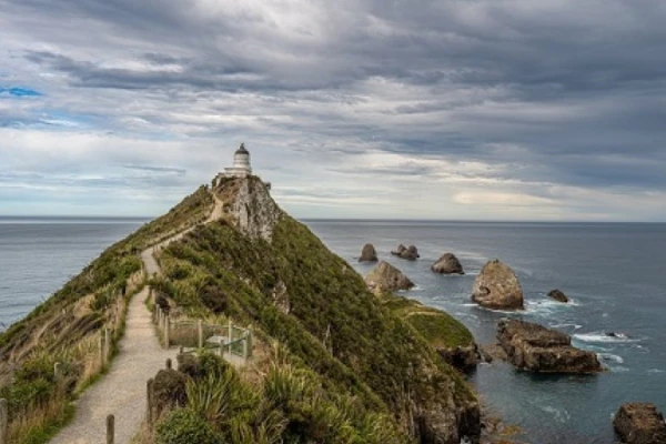 Nugget Point  - Catlins