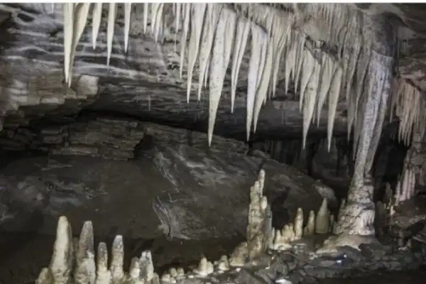 Charleston Glow Worm Caves 