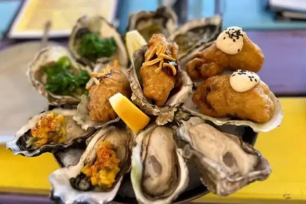 Tipsy Oyster  - Paihia