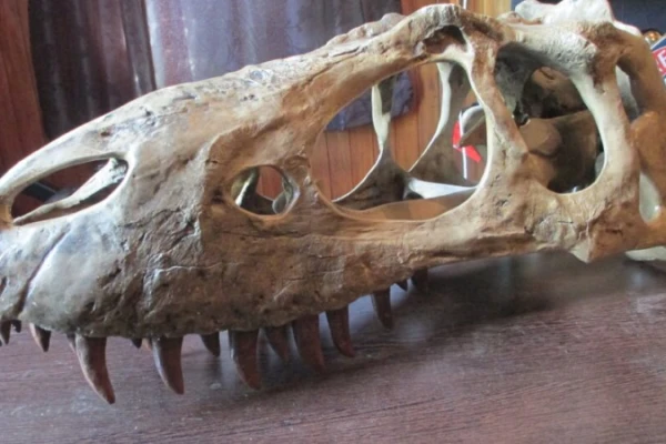 Dinosaur House Raetihi