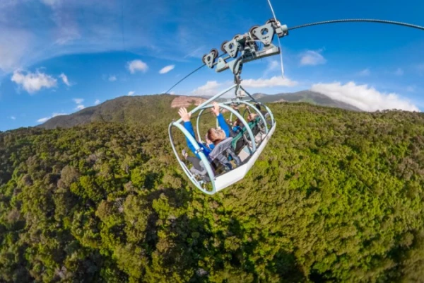 Cable Bay Adventure Park 