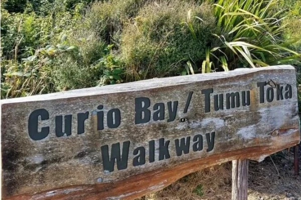 Living Forest Walkway 