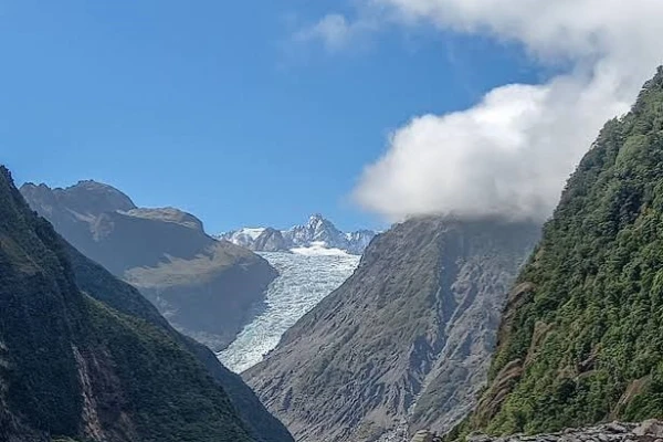 Fox Glacier 