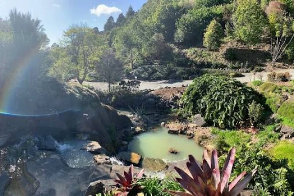 Whangarei Quarry Gardens 