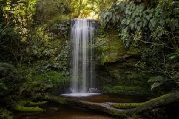Koropuku Falls - Catlins