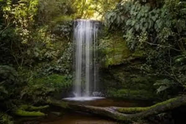 Koropuku Falls - Catlins