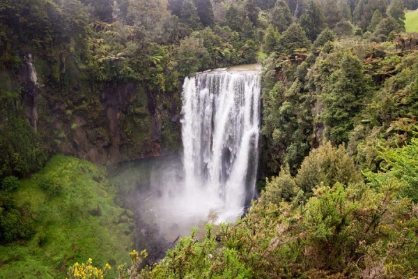 Omaru Falls - Te Kuiti