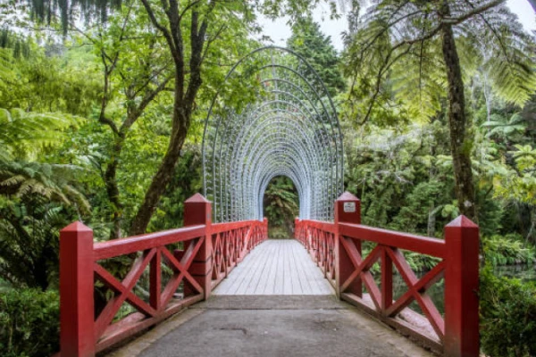 Pukekura Park - New Plymouth 