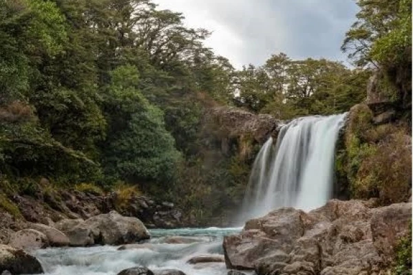 Tawhai Falls - Whakapapa