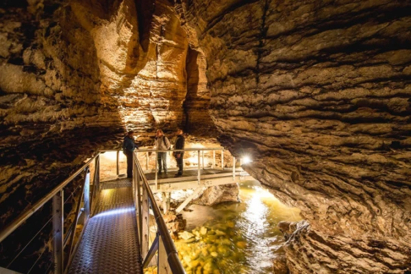 Te Anau Gloworm Caves 