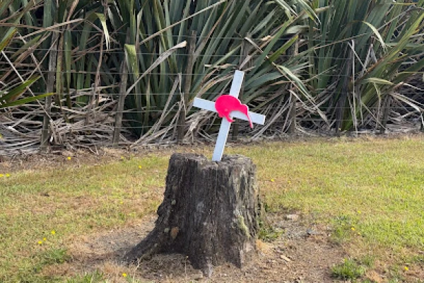 Kiwi remembered 